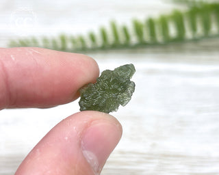 Moldavite #11