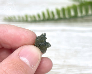 Moldavite #11
