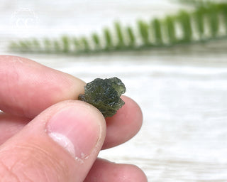 Moldavite #11