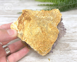 Mongolian Amethyst Cluster #1