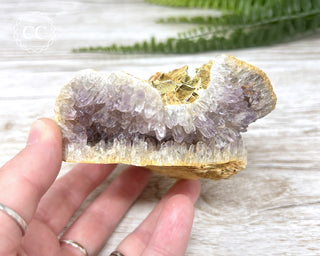 Mongolian Amethyst Cluster #1