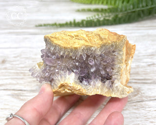 Mongolian Amethyst Cluster #1