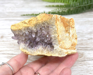 Mongolian Amethyst Cluster #1