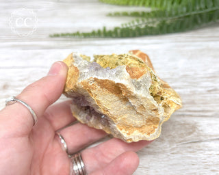 Mongolian Amethyst Cluster #1