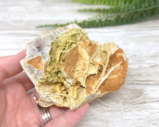 Mongolian Amethyst Cluster #1