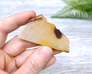 Mookaite Polished Slice #13
