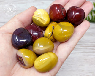 Mookaite Tumbled Crystals in hand