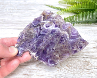 Moroccan Amethyst Slice #6