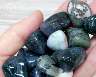 Moss Agate Tumbled Crystal