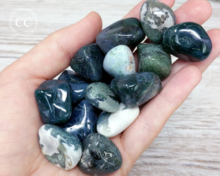 Moss Agate Tumbled Crystal