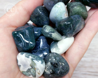Moss Agate Tumbled Crystal