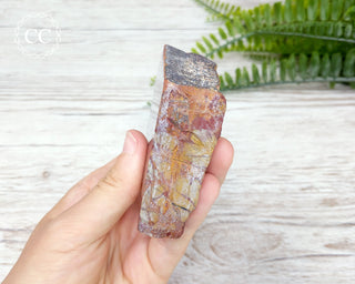 Noreena Jasper Slab #4