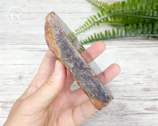 Noreena Jasper Slab #4