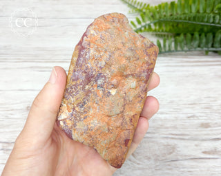 Noreena Jasper Slab #4