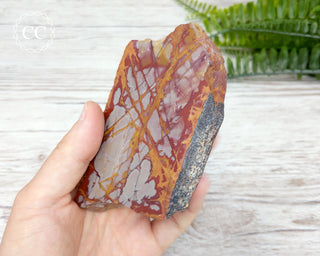 Noreena Jasper Slab #4