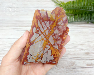 Noreena Jasper Slab #4