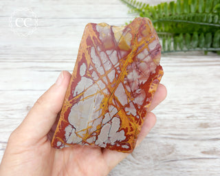Noreena Jasper Slab #4