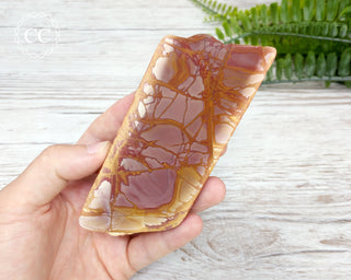 Noreena Jasper Slab #3