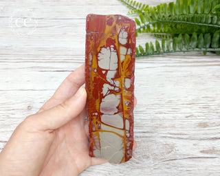 Noreena Jasper Slab #5
