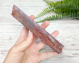 Noreena Jasper Slab #5