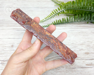 Noreena Jasper Slab #5