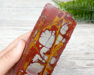 Noreena Jasper Slab #5