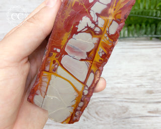 Noreena Jasper Slab #5