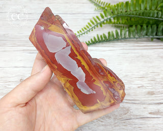 Noreena Jasper Slab #7