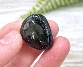 Nuummite Pebble #1