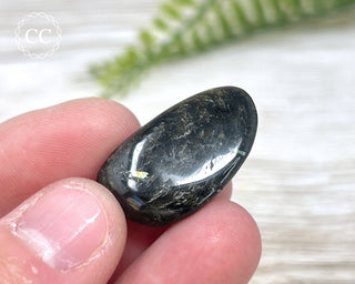 Nuummite Pebble #4