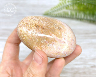 Ocean Jasper Chunky Palm Stone #5