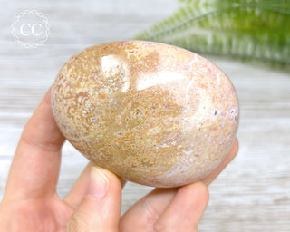 Ocean Jasper Chunky Palm Stone #5