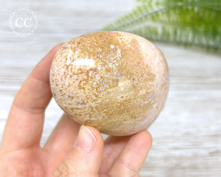Ocean Jasper Chunky Palm Stone #5