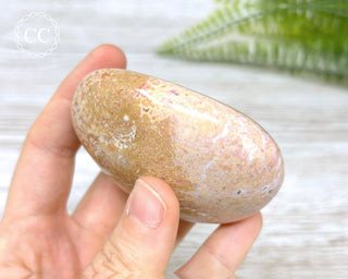 Ocean Jasper Chunky Palm Stone #5