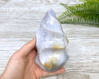 Ocean Jasper Flame #1