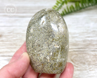 Ocean Jasper Freeform #1