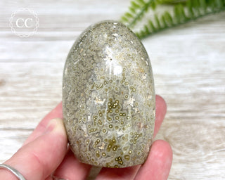 Ocean Jasper Freeform #1