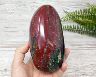 Ocean Jasper Freeform #4