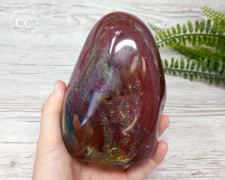 Ocean Jasper Freeform #4