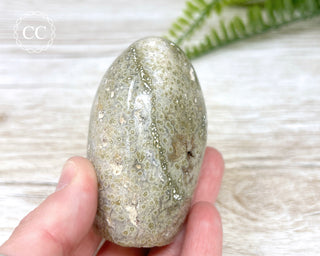 Ocean Jasper Freeform #1