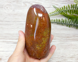 Ocean Jasper Freeform #5