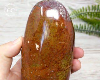 Ocean Jasper Freeform #5