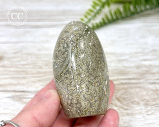 Ocean Jasper Freeform #1