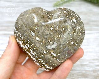 Ocean Jasper Heart #6