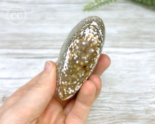 Ocean Jasper Heart #6