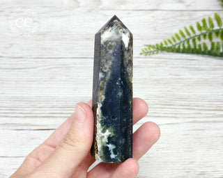 Ocean Jasper Tower #9