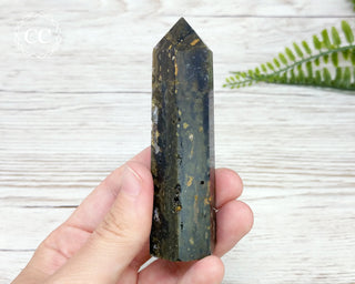 Ocean Jasper Tower #9