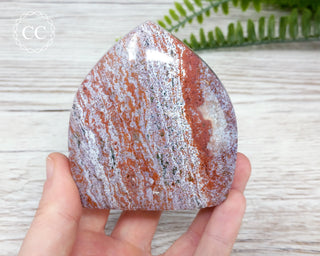 Ocean Jasper Shield #8