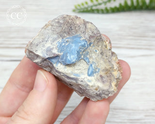 Owyhee Blue Opal Specimen #4