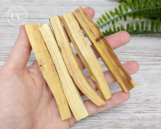 Palo Santo Sticks in hand